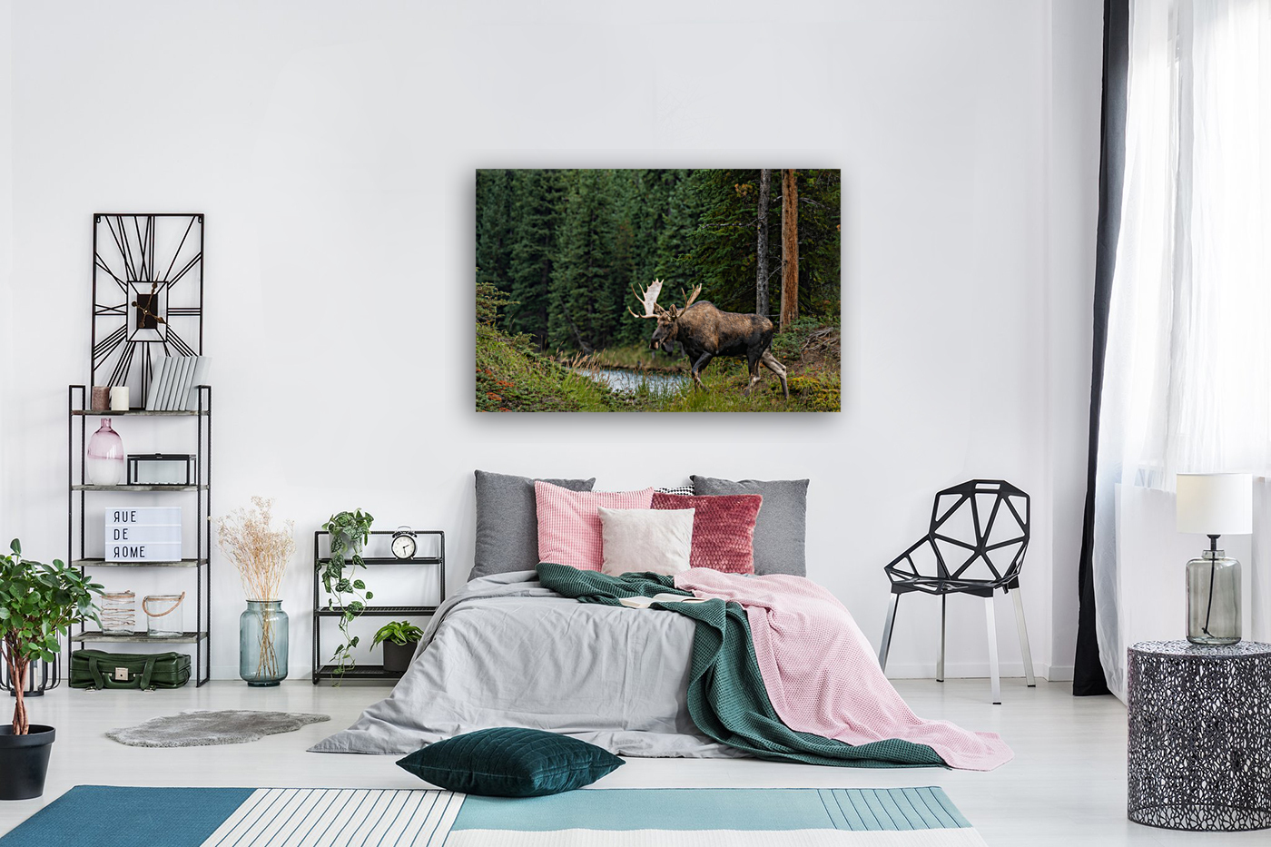 Bull Moose Reproduction