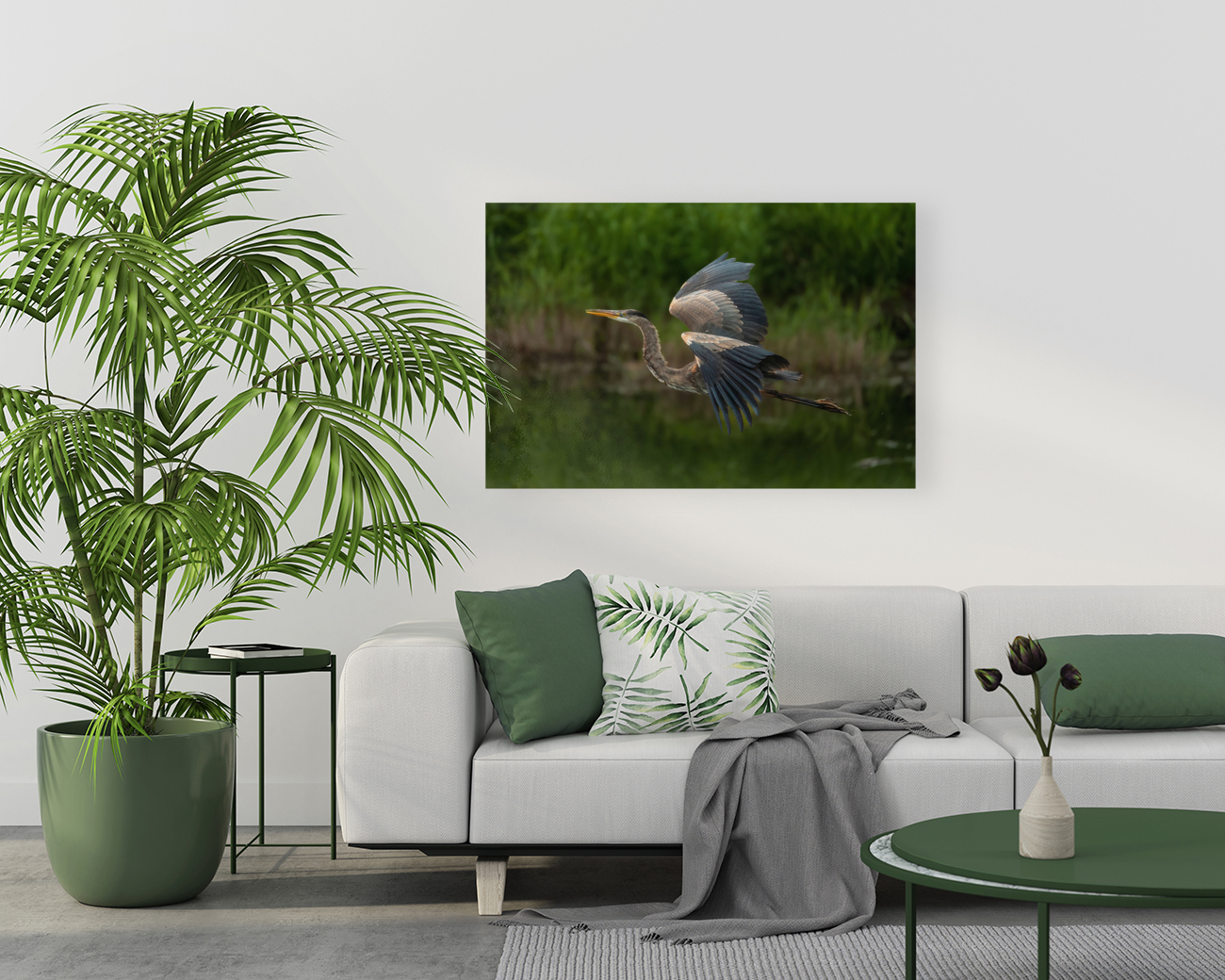 Great Blue Heron Reproduction