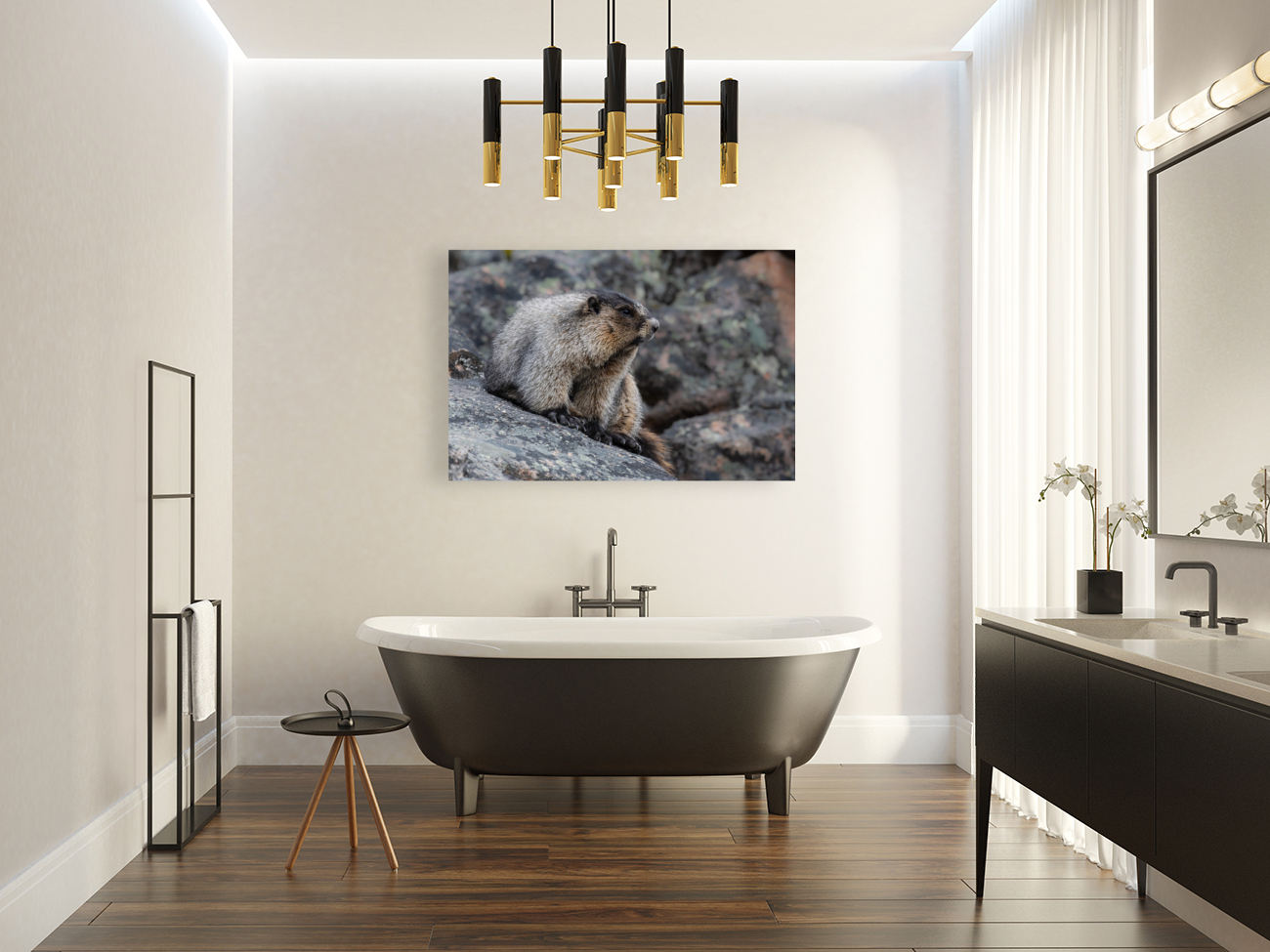 Hoary Marmot Reproduction