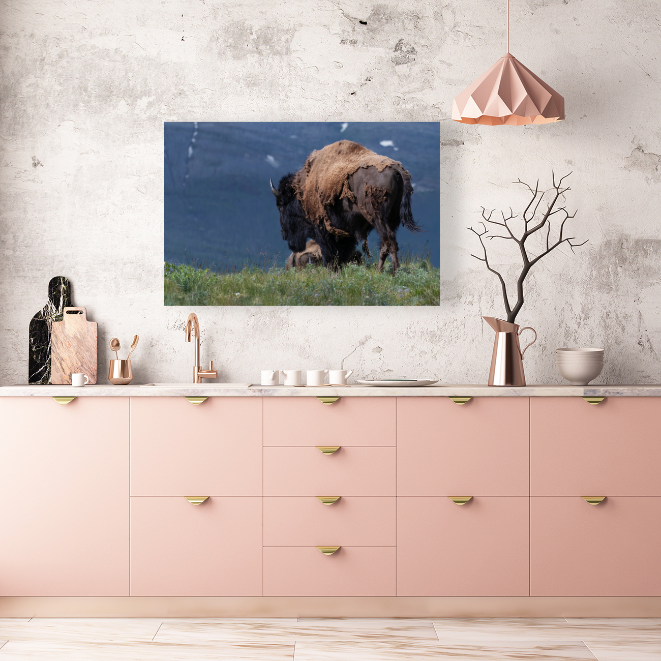 Male Bison Reproduction