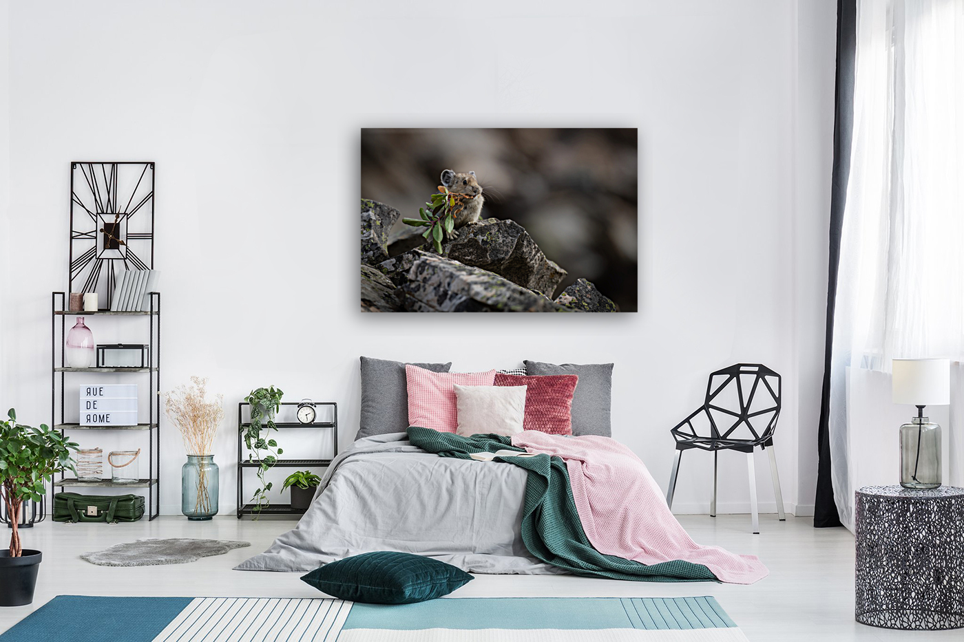 American Pika Reproduction