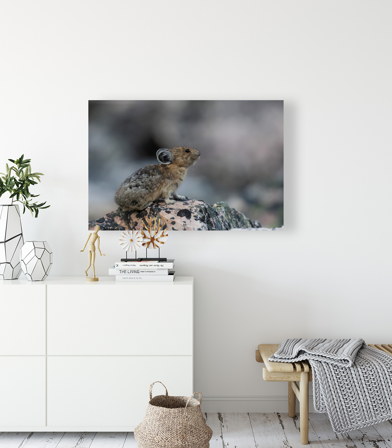 American Pika Reproduction