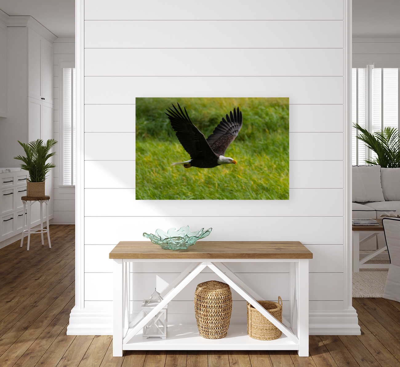 Bald Eagle Reproduction