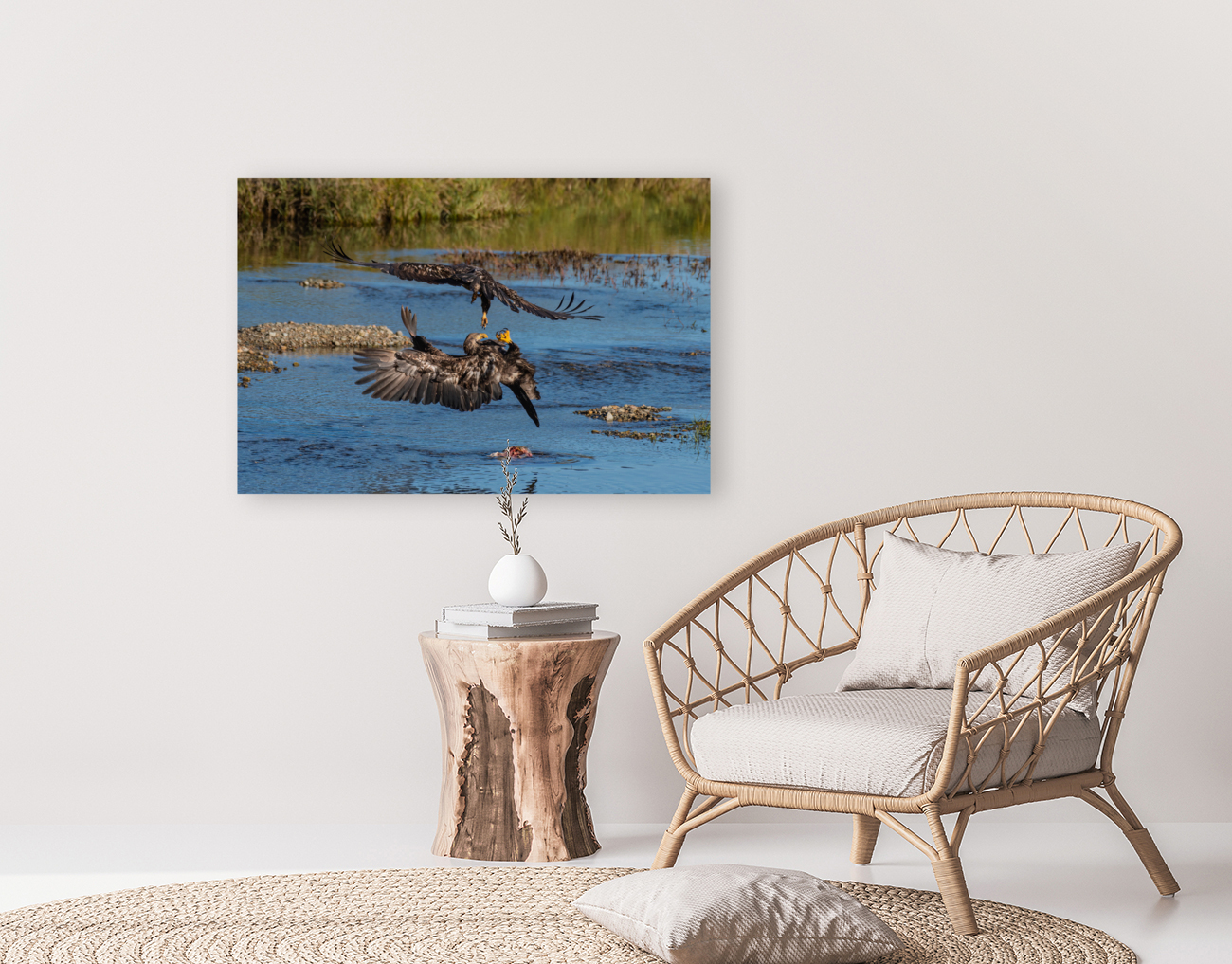 Juvenile Bald Eagles Reproduction