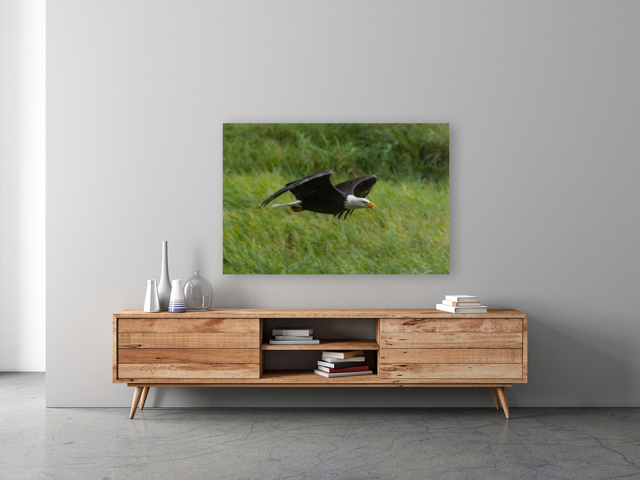 Bald Eagle Reproduction