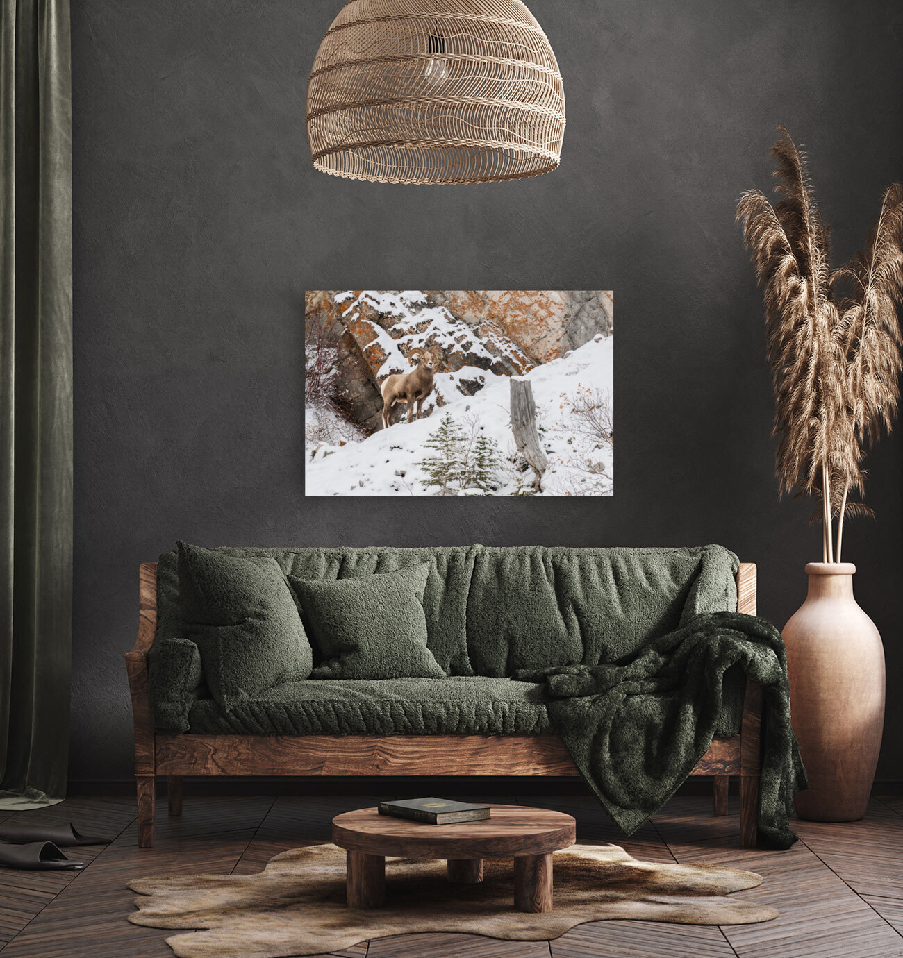 Bighorn Ram Reproduction