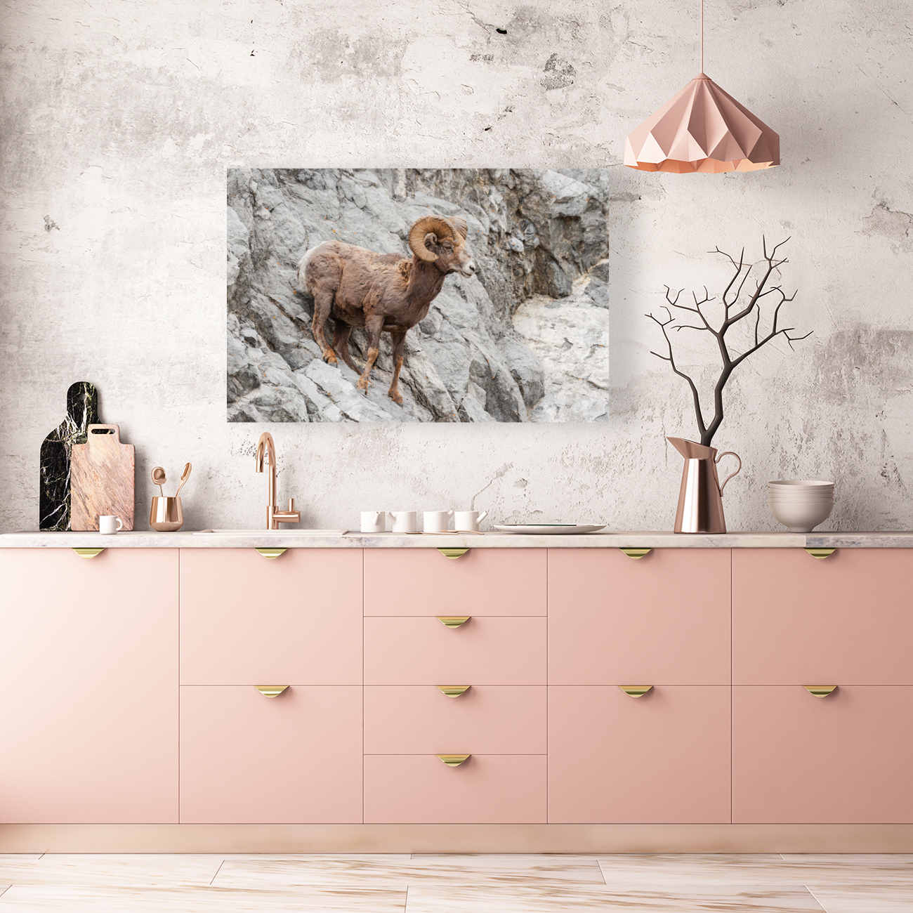 Bighorn Ram Reproduction