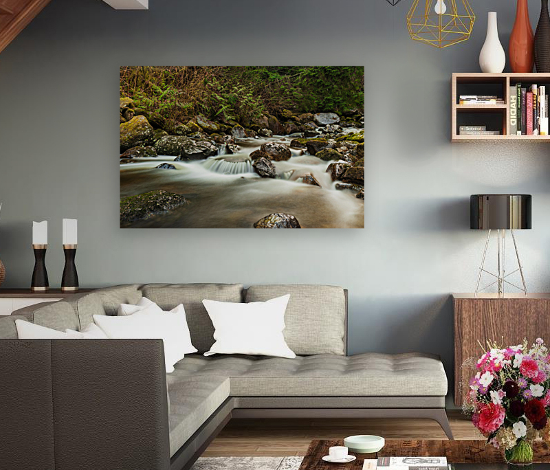 Forest Stream Reproduction