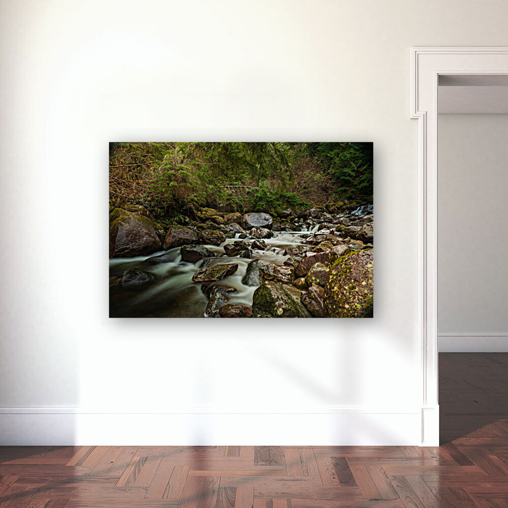 Forest Stream Reproduction