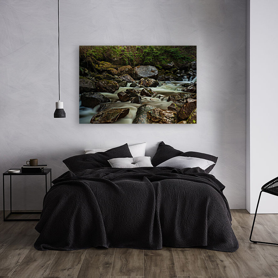 Forest Stream Reproduction