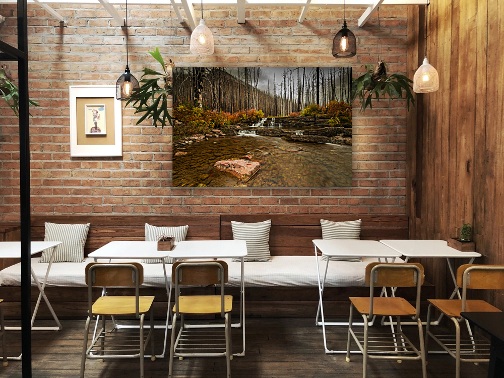 Mountain Stream Reproduction