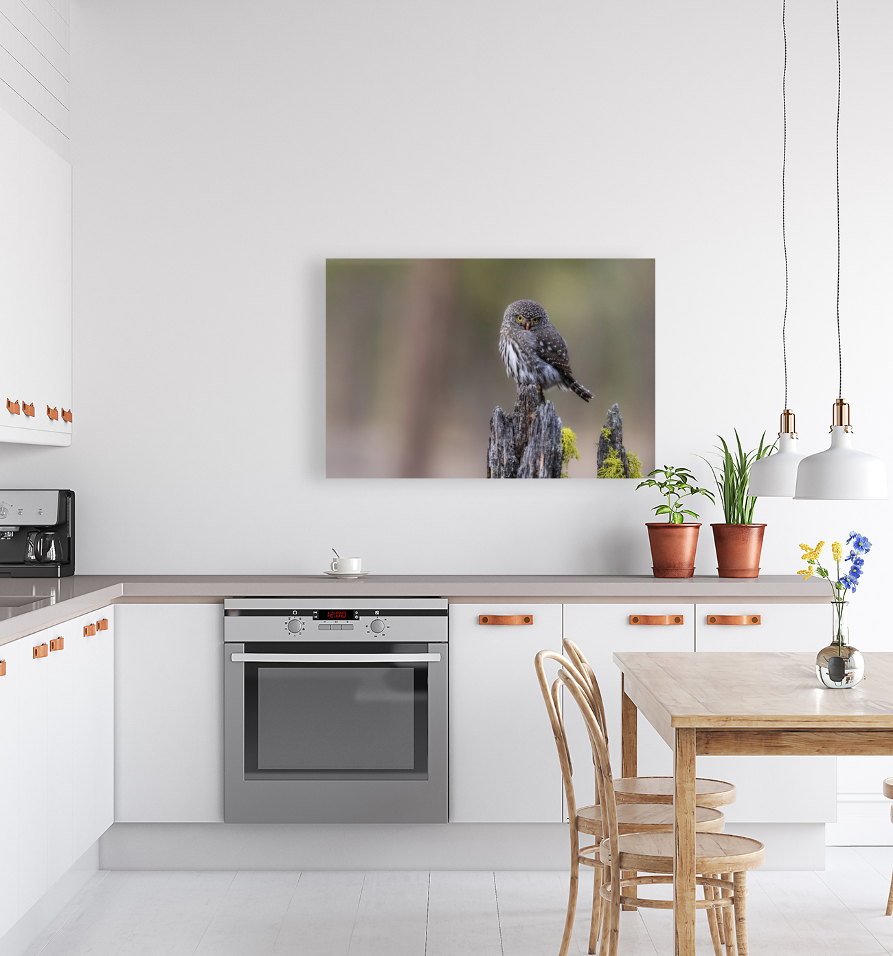 Northern Pygmy Owl Reproduction