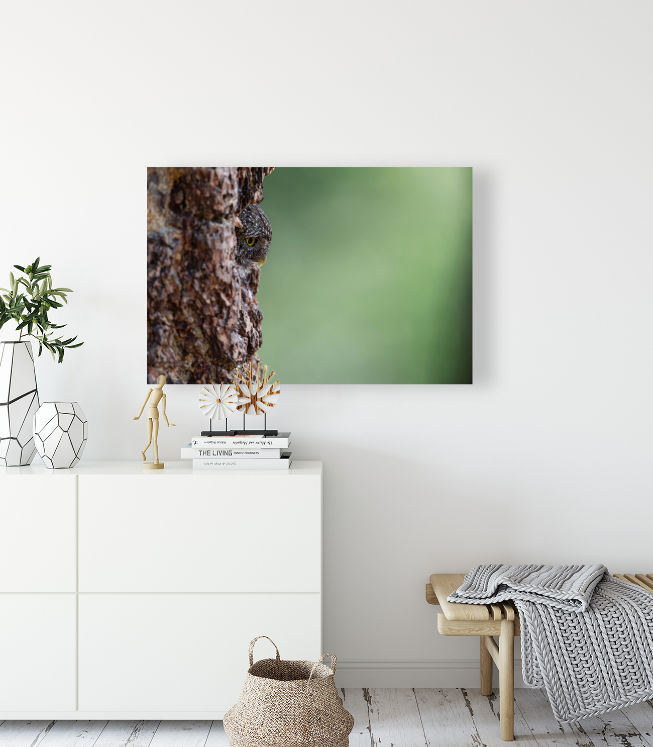 Northern Pygmy Owl Reproduction