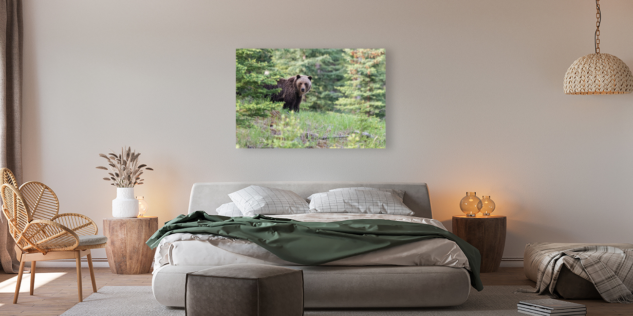 Grizzly Bear Reproduction