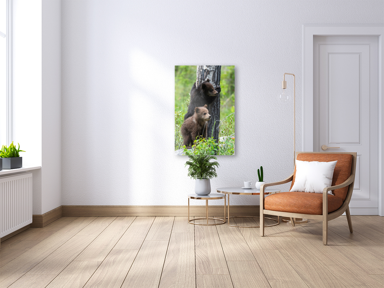 Grizzly Cubs Reproduction