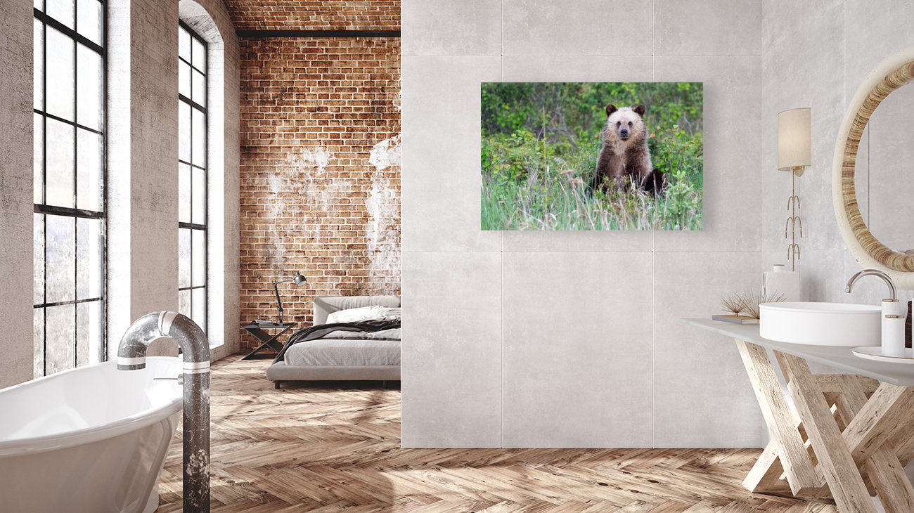 Grizzly Cub Reproduction