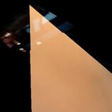 Northern Pygmy Owl HD Metal print