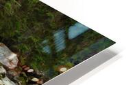 Forest Stream HD Metal print