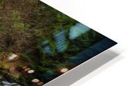 Forest Stream HD Metal print