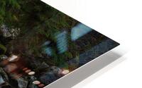 Forest Stream HD Metal print