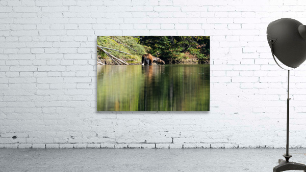 Cow Moose Wall Preview