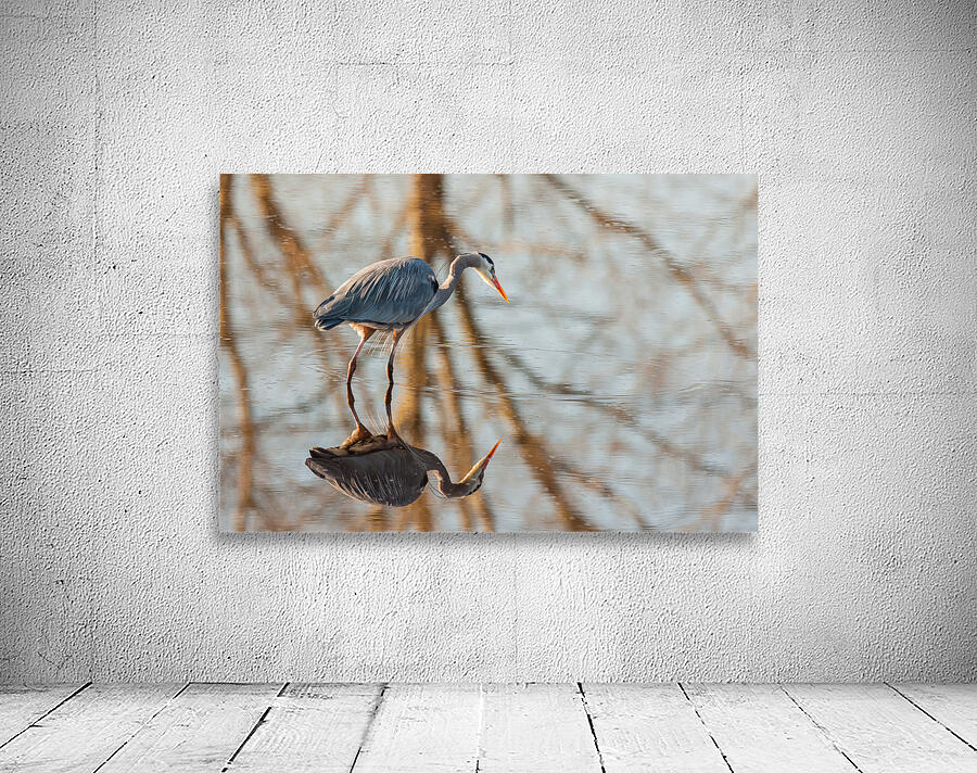 Great Blue Heron Wall Preview