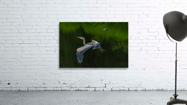 Great Blue Heron Wall Preview