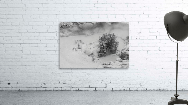 Thermal Mud Eruption Wall Preview