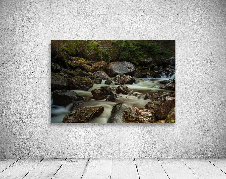 Forest Stream Wall Preview