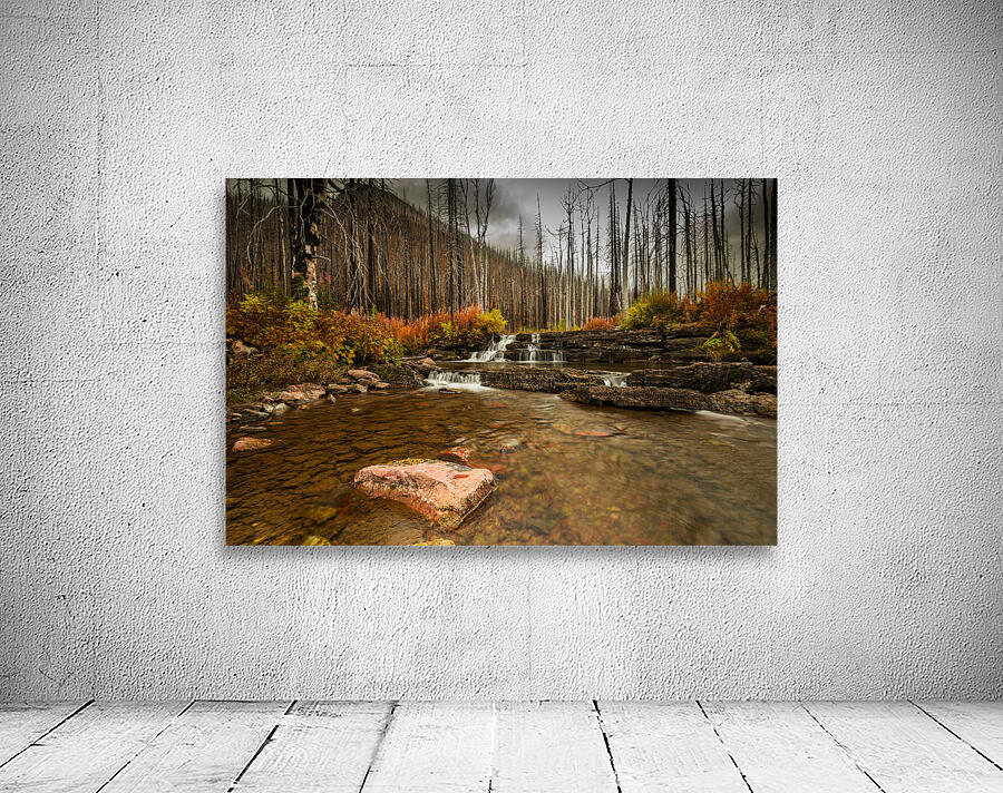 Mountain Stream Wall Preview