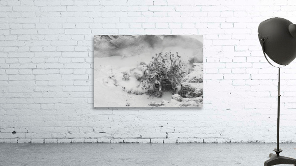 Thermal Mud Eruption Wall Preview