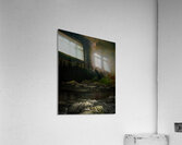 DSC06967 Edit Acrylic Print