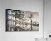 DSC03905 Edit Edit Edit Acrylic Print