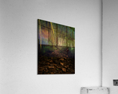 DSC04417 Edit Acrylic Print