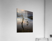 DSC02516 Acrylic Print