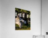 DSC01232 Acrylic Print