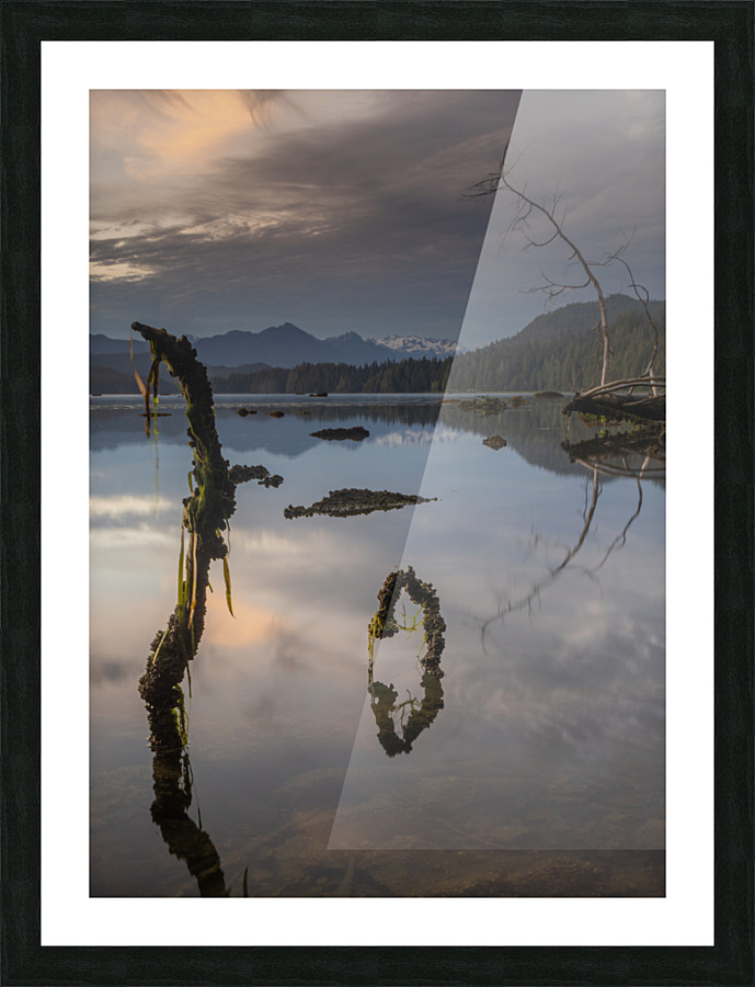 DSC02516 5by7 Picture Frame print