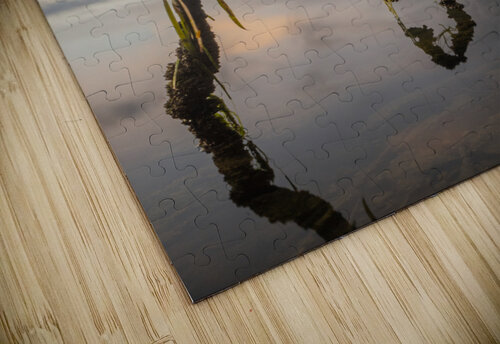 DSC02516 5by7 Black Bear Photography puzzle