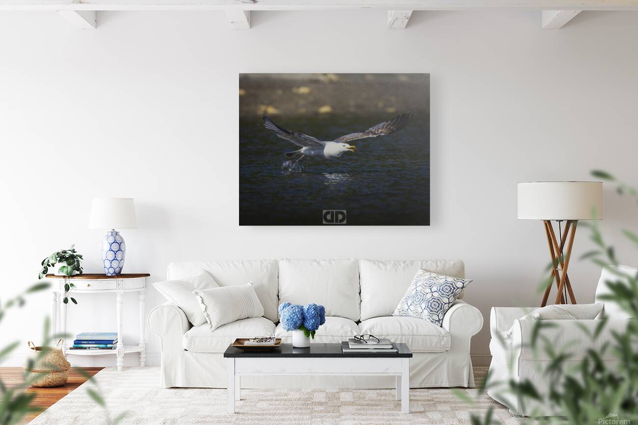 Seagull with a Catch Reproduction
