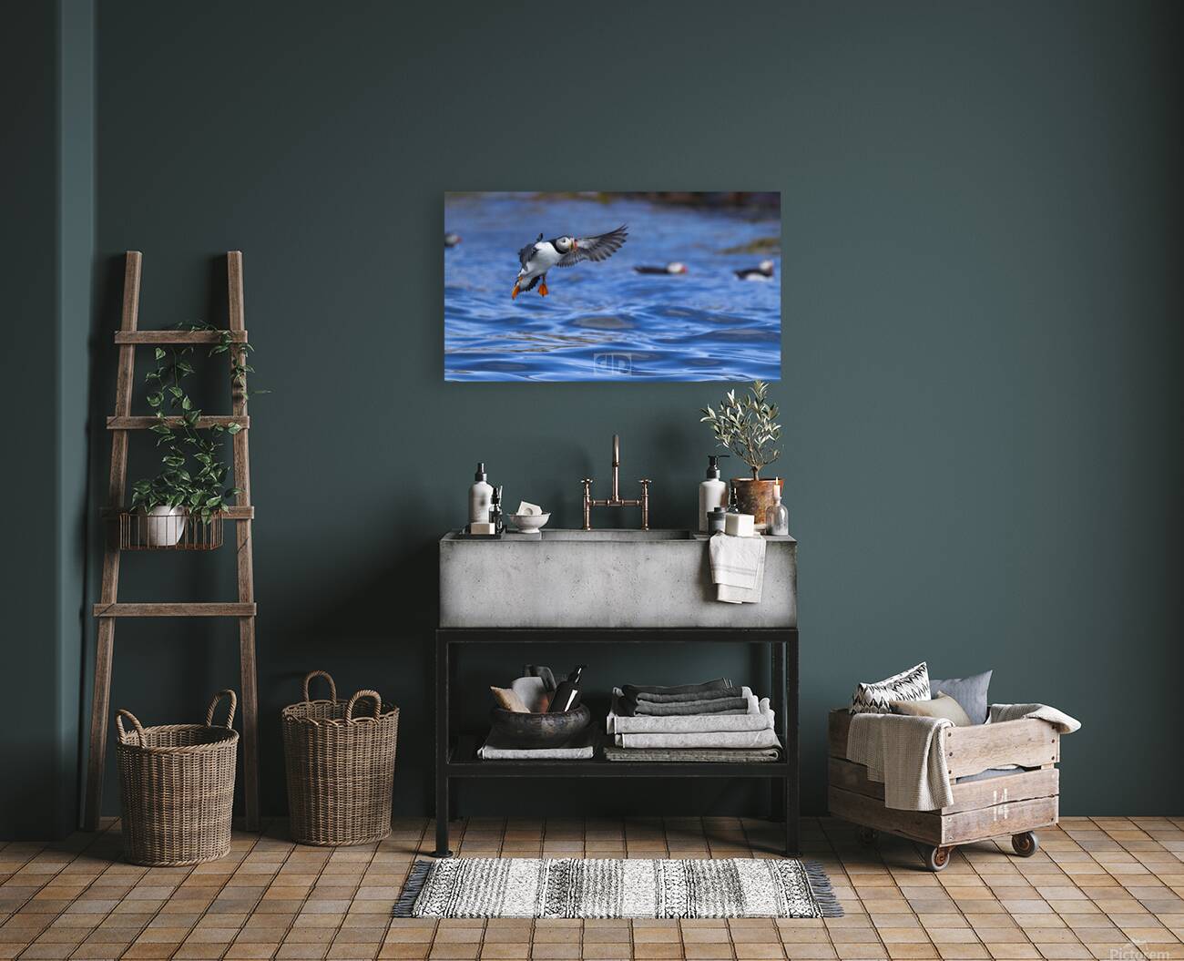 Puffin Landing Reproduction