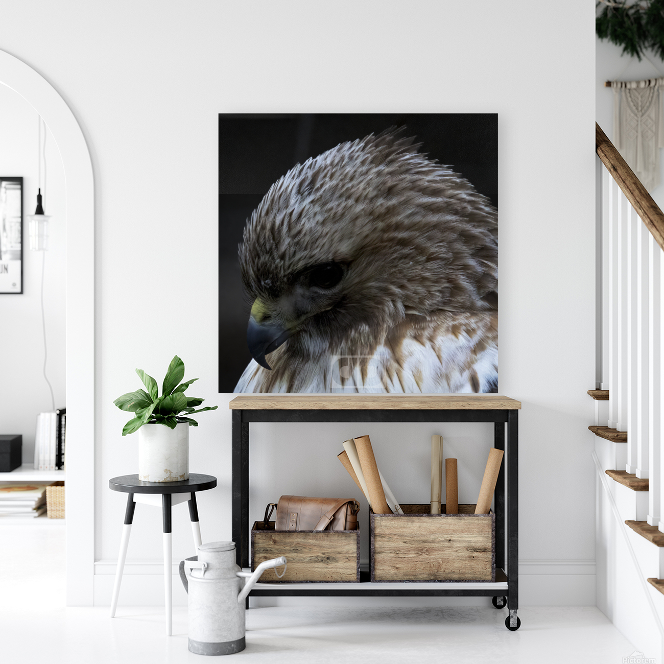 Red Shoulder Hawk Reproduction