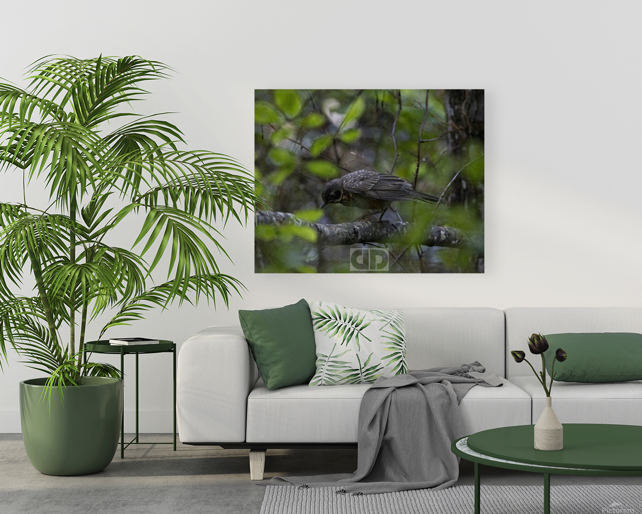 Moody Young Robin Reproduction