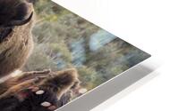 The New King HD Metal print