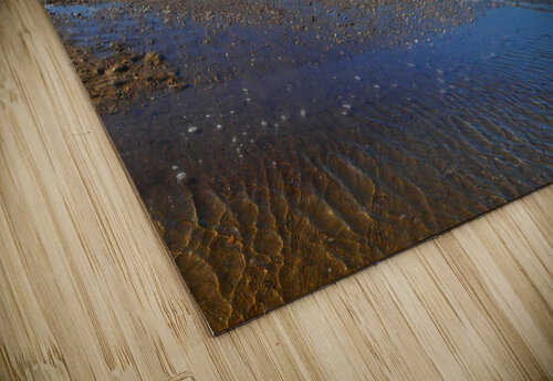 Low tide Karen Dionna puzzle