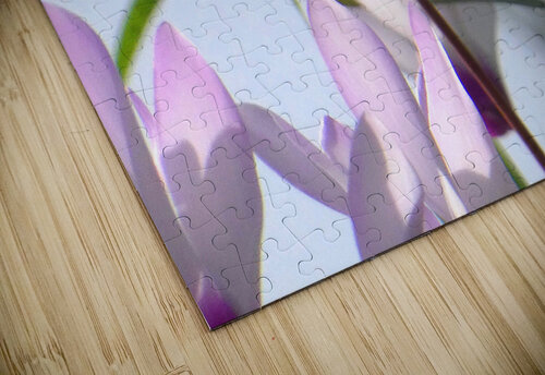 Pink bloom Karen Dionna puzzle