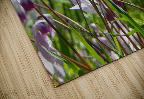 Spring in the woods Karen Dionna puzzle