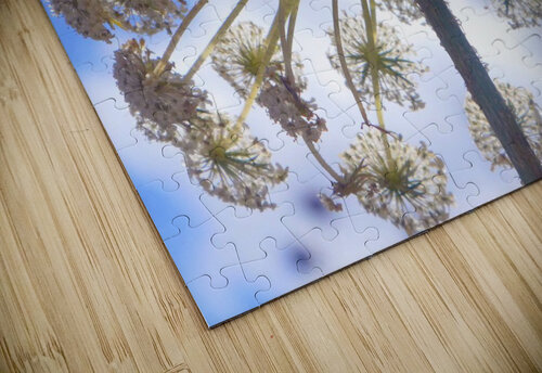 under the canopy  Karen Dionna puzzle