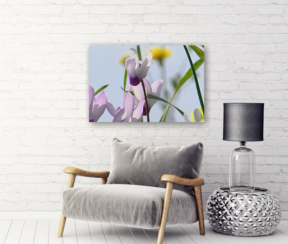 Pink bloom Reproduction