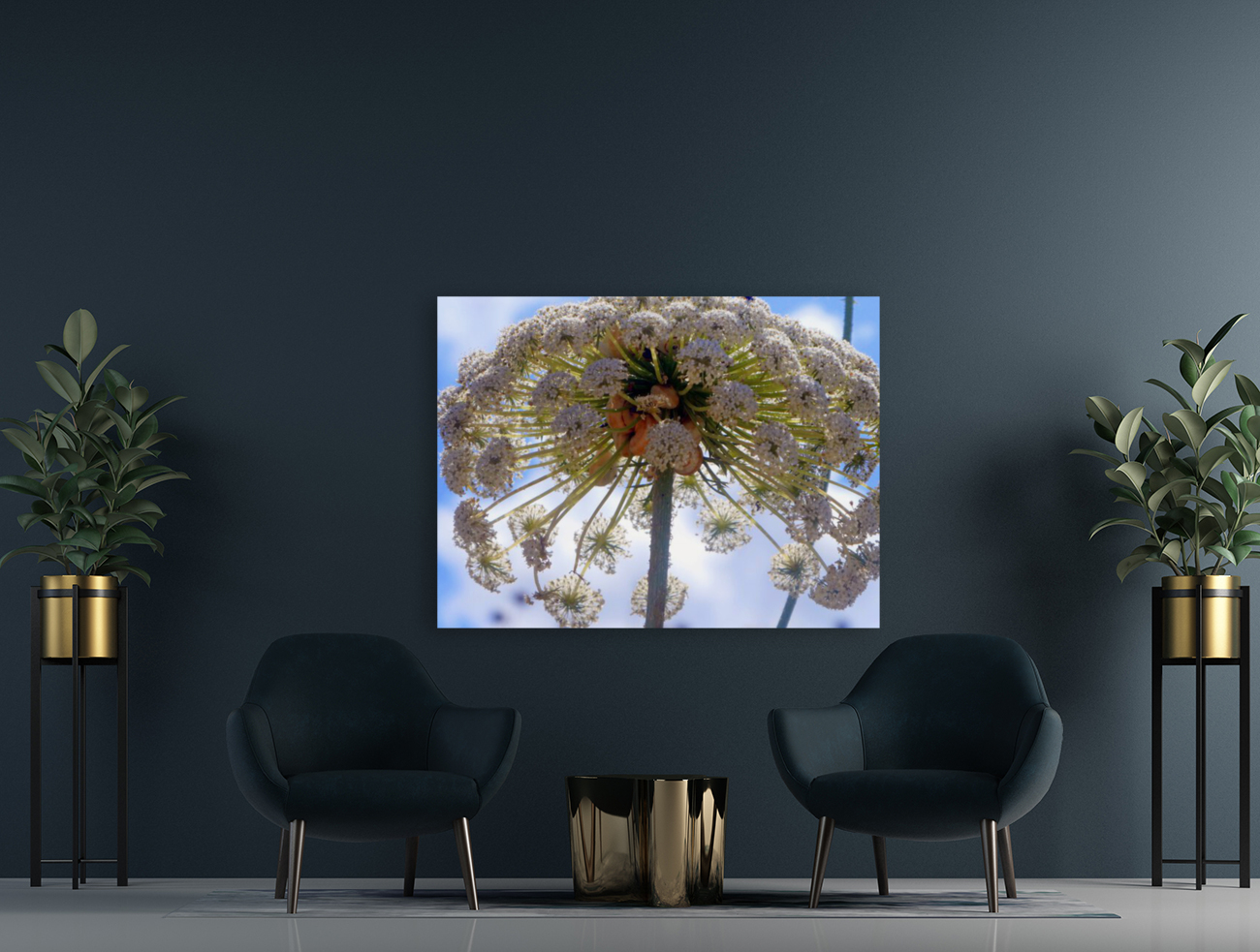 under the canopy  Reproduction
