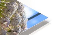 under the canopy  HD Metal print